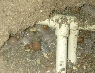 城西卫生间测漏