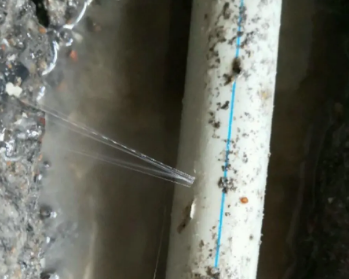 城西卫生间测漏水多少钱