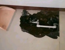 城西卫生间测漏水多少钱